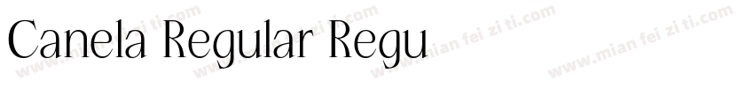 Canela Regular Regu字体转换
